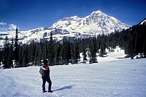 Mt. Rainier, Near Indian Henry's Hunting Ground